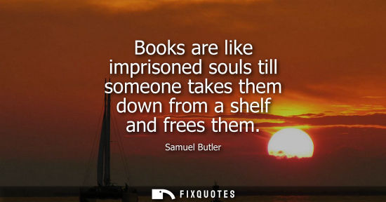 Small: Books are like imprisoned souls till someone takes them down from a shelf and frees them