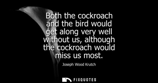 Small: Joseph Wood Krutch: Both the cockroach and the bird would get along very well without us, although the cockroa