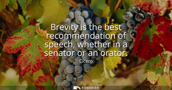 Small: Brevity is the best recommendation of speech, whether in a senator or an orator