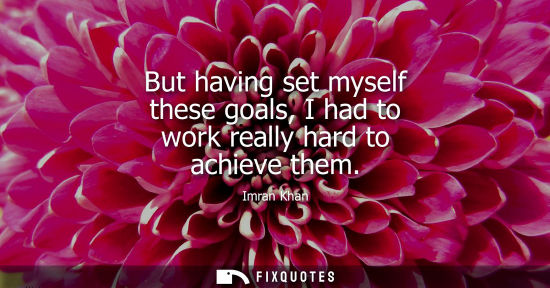 Small: Imran Khan: But having set myself these goals, I had to work really hard to achieve them