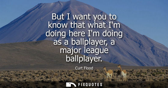 Small: But I want you to know that what Im doing here Im doing as a ballplayer, a major league ballplayer