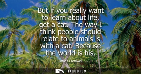 Small: But if you really want to learn about life, get a cat. The way I think people should relate to animals 