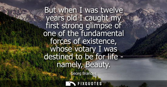 Small: But when I was twelve years old I caught my first strong glimpse of one of the fundamental forces of existence