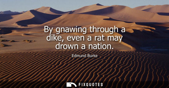 Small: By gnawing through a dike, even a rat may drown a nation