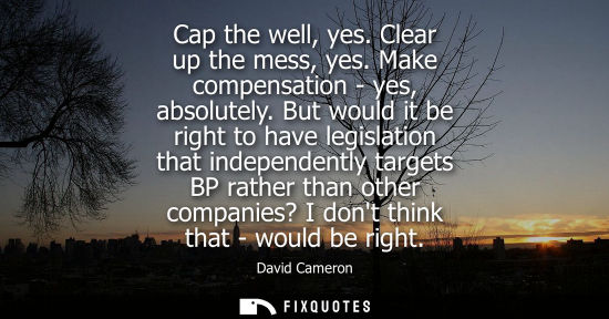 Small: Cap the well, yes. Clear up the mess, yes. Make compensation - yes, absolutely. But would it be right t