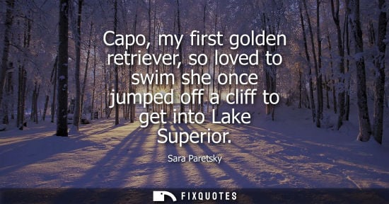 Small: Capo, my first golden retriever, so loved to swim she once jumped off a cliff to get into Lake Superior - Sara