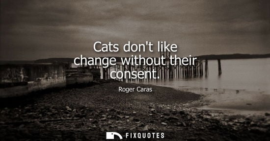 Small: Cats dont like change without their consent