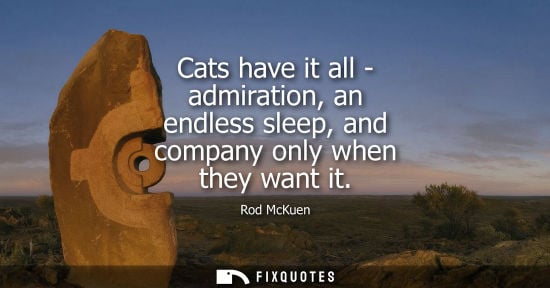 Small: Cats have it all - admiration, an endless sleep, and company only when they want it