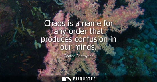 Small: Chaos is a name for any order that produces confusion in our minds