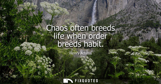 Small: Chaos often breeds life when order breeds habit