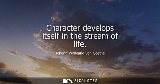Small: Johann Wolfgang Von Goethe - Character develops itself in the stream of life