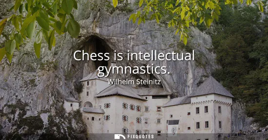 Small: Chess is intellectual gymnastics