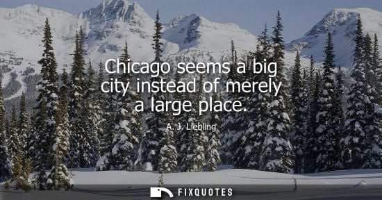 Small: Chicago seems a big city instead of merely a large place