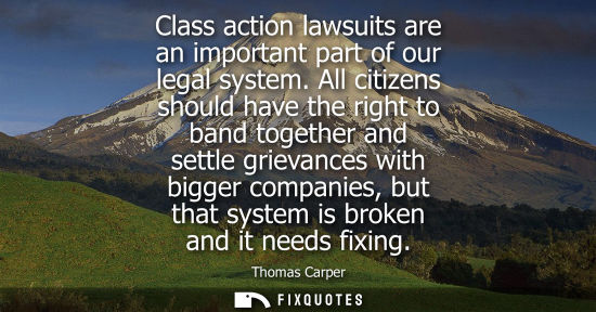 Small: Class action lawsuits are an important part of our legal system. All citizens should have the right to 