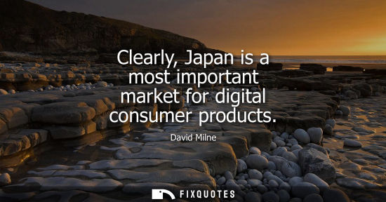 Small: Clearly, Japan is a most important market for digital consumer products