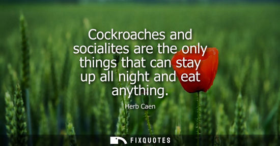 Small: Cockroaches and socialites are the only things that can stay up all night and eat anything