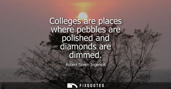 Small: Colleges are places where pebbles are polished and diamonds are dimmed