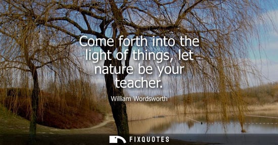 Small: Come forth into the light of things, let nature be your teacher