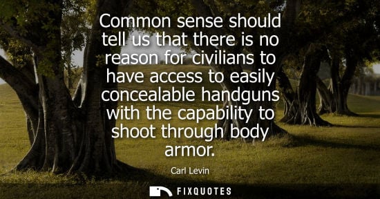 Small: Common sense should tell us that there is no reason for civilians to have access to easily concealable 
