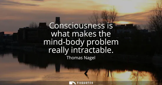 Small: Consciousness is what makes the mind-body problem really intractable
