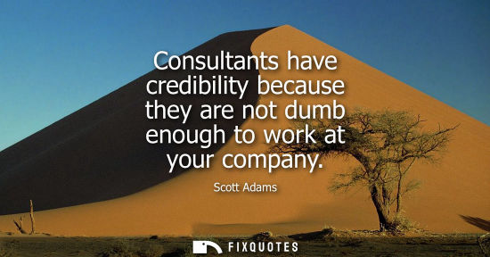 Small: Consultants have credibility because they are not dumb enough to work at your company