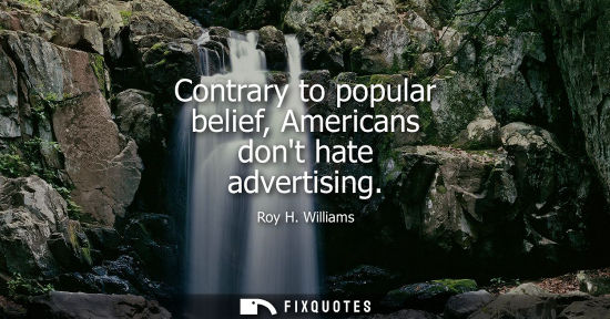 Small: Contrary to popular belief, Americans dont hate advertising