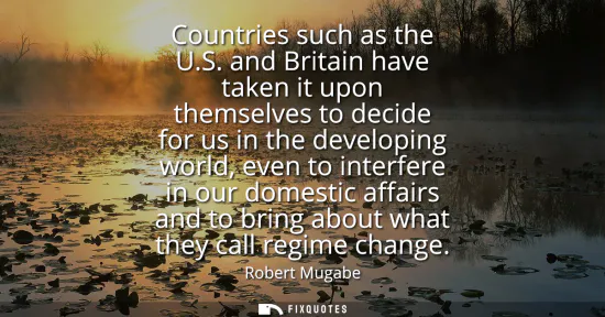 Small: Countries such as the U.S. and Britain have taken it upon themselves to decide for us in the developing world,