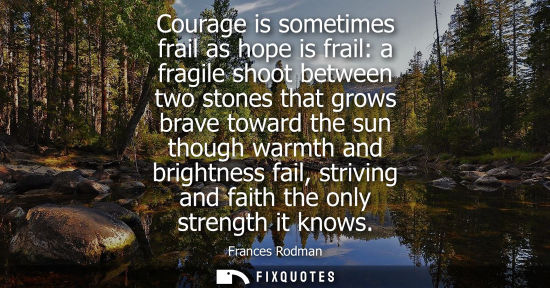 Small: Courage is sometimes frail as hope is frail: a fragile shoot between two stones that grows brave toward