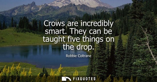 Small: Robbie Coltrane: Crows are incredibly smart. They can be taught five things on the drop
