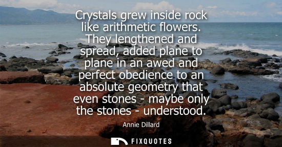 Small: Crystals grew inside rock like arithmetic flowers. They lengthened and spread, added plane to plane in 