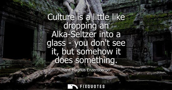 Small: Culture is a little like dropping an Alka-Seltzer into a glass - you dont see it, but somehow it does s