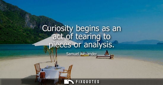 Small: Curiosity begins as an act of tearing to pieces or analysis