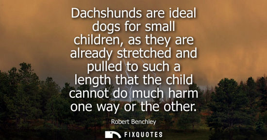 Small: Dachshunds are ideal dogs for small children, as they are already stretched and pulled to such a length that t