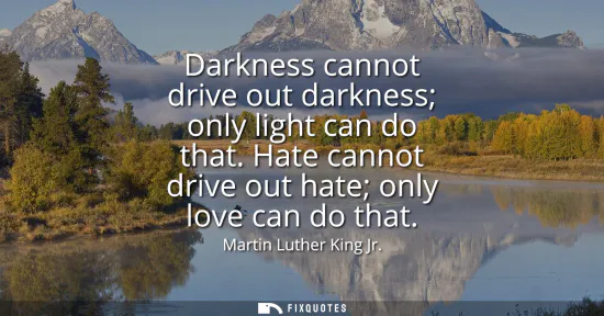 Small: Darkness cannot drive out darkness only light can do that. Hate cannot drive out hate only love can do that