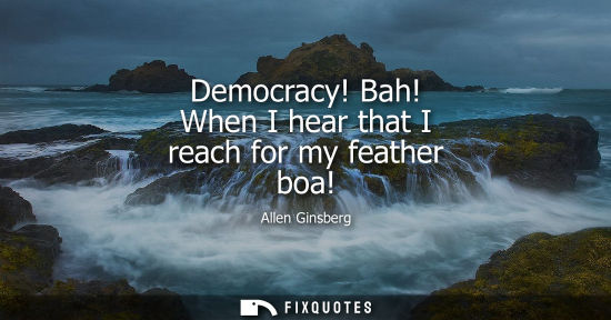 Small: Democracy! Bah! When I hear that I reach for my feather boa!