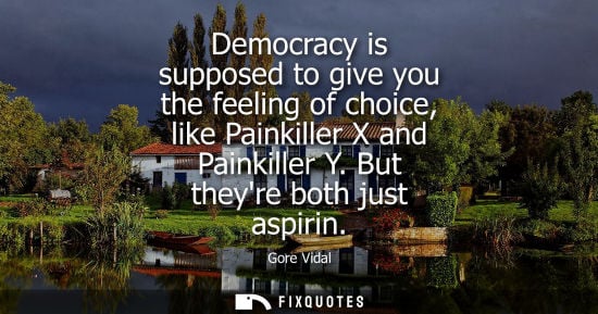 Small: Democracy is supposed to give you the feeling of choice, like Painkiller X and Painkiller Y. But theyre