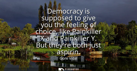 Small: Democracy is supposed to give you the feeling of choice, like Painkiller X and Painkiller Y. But theyre both j