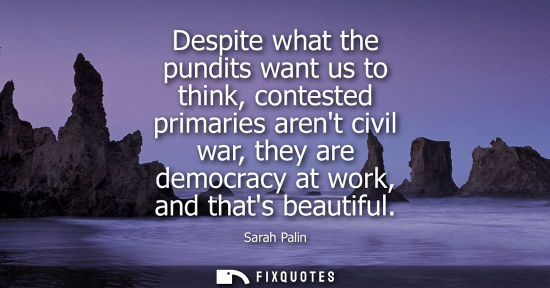 Small: Despite what the pundits want us to think, contested primaries arent civil war, they are democracy at w