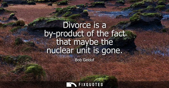 Small: Divorce is a by-product of the fact that maybe the nuclear unit is gone