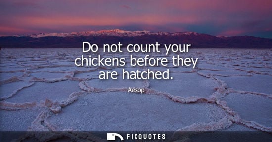 Small: Aesop: Do not count your chickens before they are hatched