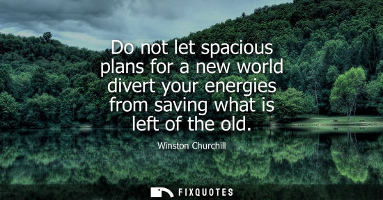 Small: Do not let spacious plans for a new world divert your energies from saving what is left of the old - Winston C
