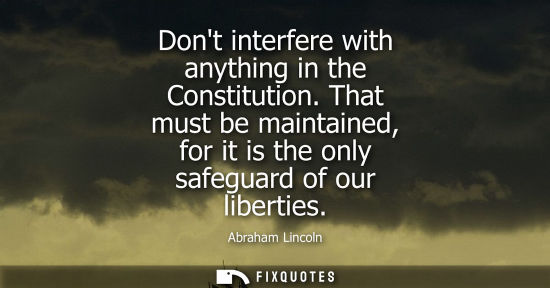 Small: Dont interfere with anything in the Constitution. That must be maintained, for it is the only safeguard of our