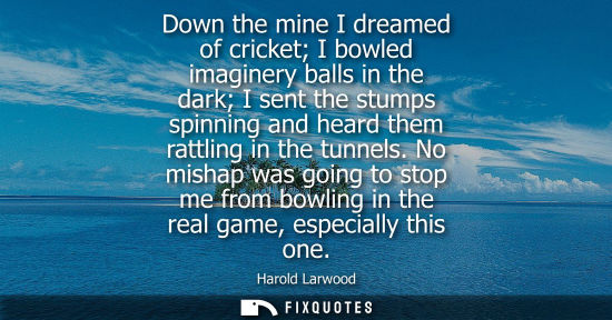 Small: Down the mine I dreamed of cricket I bowled imaginery balls in the dark I sent the stumps spinning and 