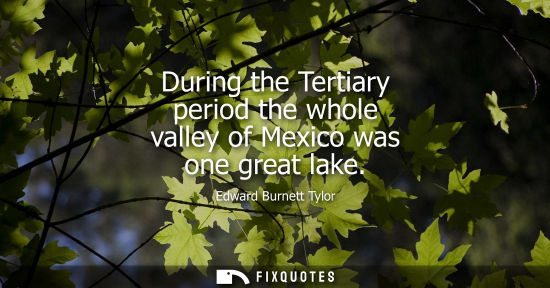 Small: During the Tertiary period the whole valley of Mexico was one great lake