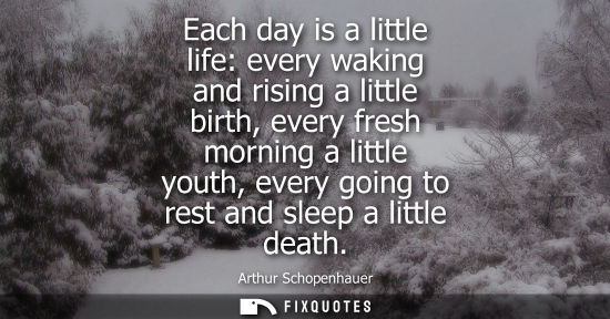 Small: Each day is a little life: every waking and rising a little birth, every fresh morning a little youth, 