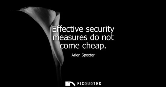 Small: Effective security measures do not come cheap