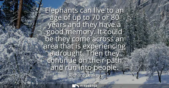 Small: Elephants can live to an age of up to 70 or 80 years and they have a good memory. It could be they come across