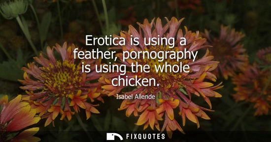 Small: Erotica is using a feather, pornography is using the whole chicken