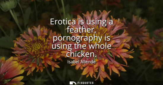 Small: Erotica is using a feather, pornography is using the whole chicken