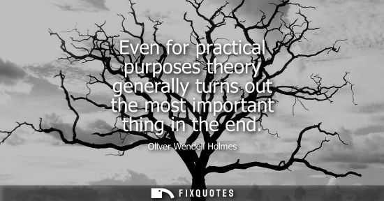 Small: Even for practical purposes theory generally turns out the most important thing in the end - Oliver Wendell Ho